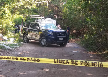 Encuentran el cadáver de una mujer en zona de manglares de Cancún