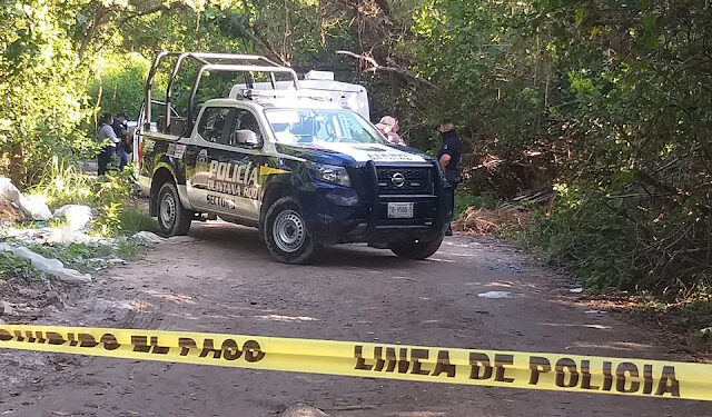 Encuentran el cadáver de una mujer en zona de manglares de Cancún
