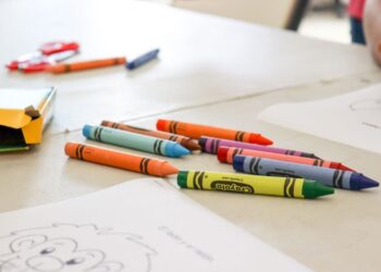 Promueven entre la niñez el cuidado del medio ambiente en Isla Mujeres