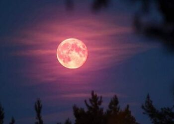 Prepara tu cámara, esta noche habrá luna llena