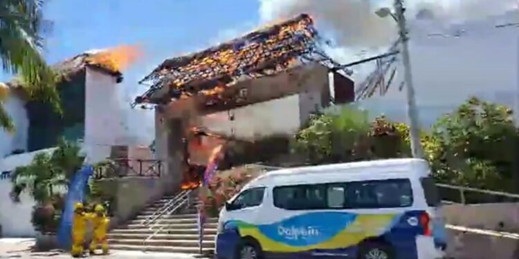 Antes de Semana Santa podría reabrir Dolphin Isla Mujeres