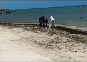 Recalan restos humanos en una playa cerca de Punta Sam