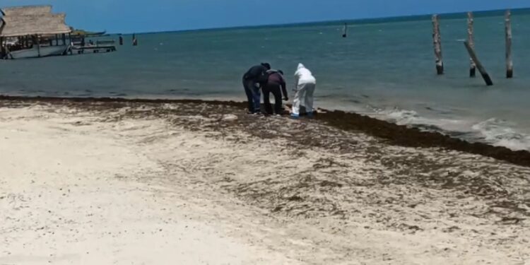 Recalan restos humanos en una playa cerca de Punta Sam