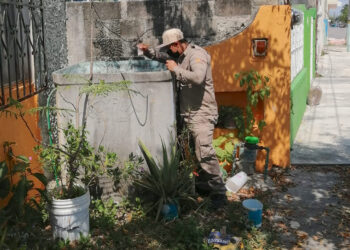 Intensifican las acciones para la prevención del dengue, zika y chikungunya