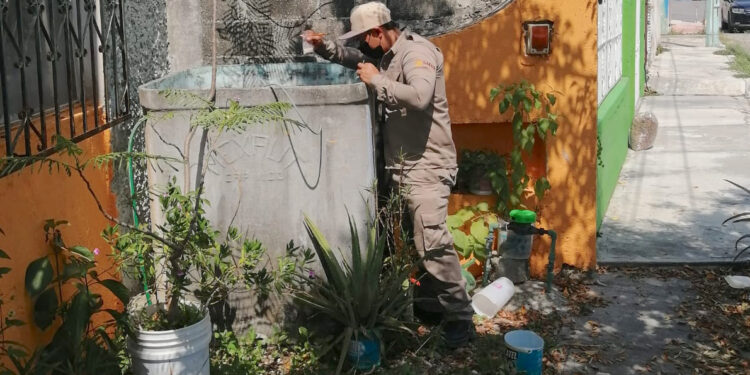 Intensifican las acciones para la prevención del dengue, zika y chikungunya