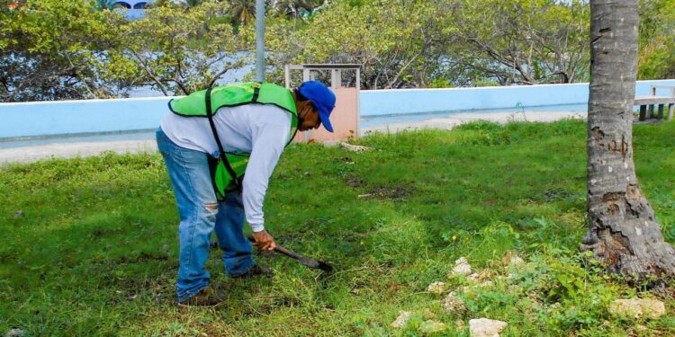 Mantiene Parques y Jardines trabajos de limpieza en Isla Mujeres