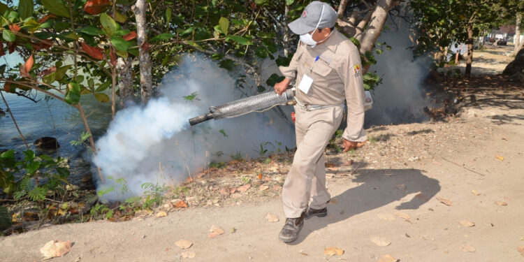 Continúa SESA con el plan de eliminación del paludismo para prevenir el restablecimiento de la transmisión local