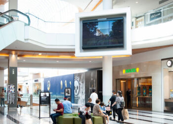 Consejo de Promoción de Quintana Roo emitirá más de 200 millones de impactos publicitarios en Estados Unidos