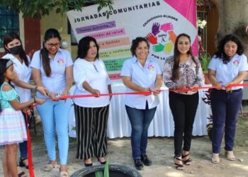 Ciudadanas Aliadas por la Igualdad A.C.