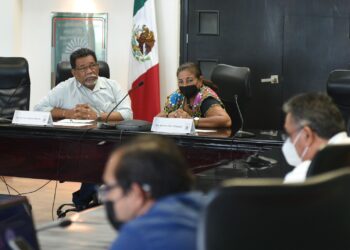 Verifican requisitos de aspirantes al Consejo Consultivo de la CDHEQROO