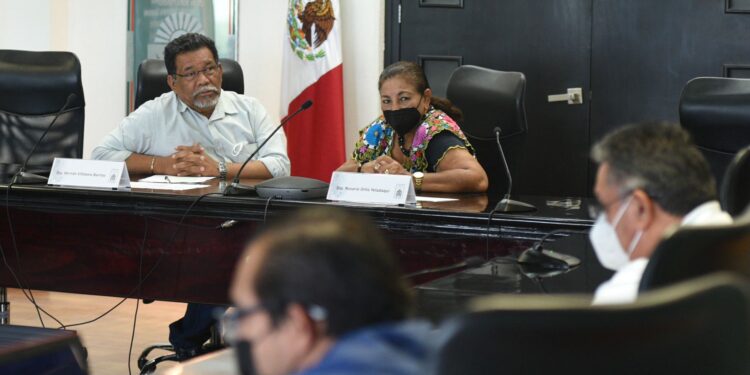 Verifican requisitos de aspirantes al Consejo Consultivo de la CDHEQROO