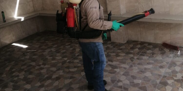 Combaten proliferación de mosquitos a través de la fumigación en escuelas de Isla Mujeres