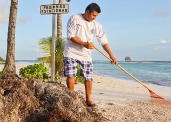 Se fortalecen los trabajos de limpieza en Isla Mujeres