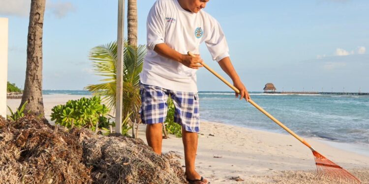 Se fortalecen los trabajos de limpieza en Isla Mujeres