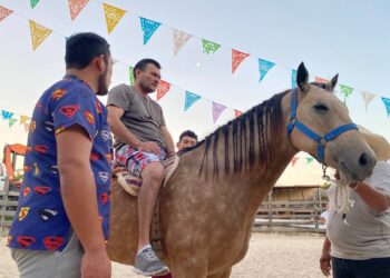 Ofrecen en el CRIP de Isla Mujeres equinoterapias