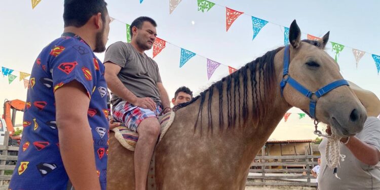 Ofrecen en el CRIP de Isla Mujeres equinoterapias