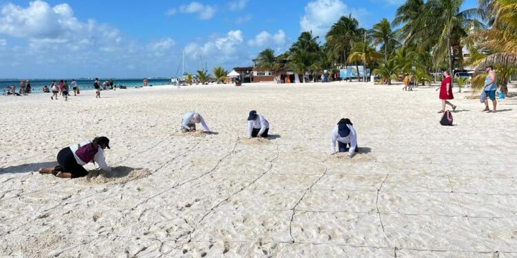 Playas de Isla Mujeres pasan evaluación del comité de auditoría internacional de BlueflagG