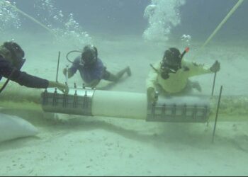 No descartan más afectaciones en el suministro de agua potable en Isla Mujeres