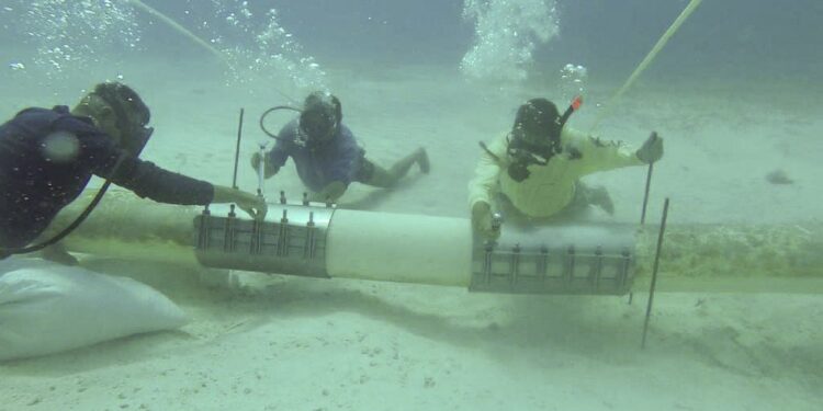 No descartan más afectaciones en el suministro de agua potable en Isla Mujeres