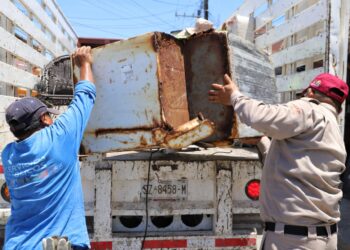 Gobierno isleño no baja la guardia con el programa de descacharrización