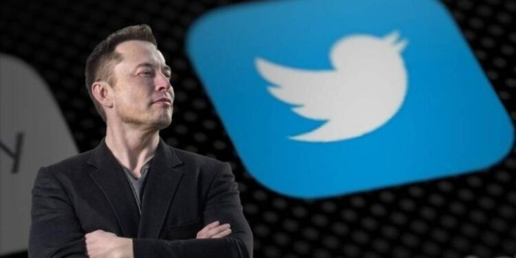 ¡Habemus nueva CEO para Twitter! Elon Musk anuncia que encontró relevo y empezará en 6 semanas
