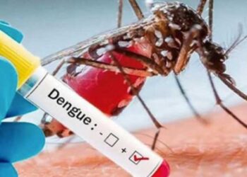 Ayuntamiento de Isla Mujeres redoblará acciones contra el Dengue