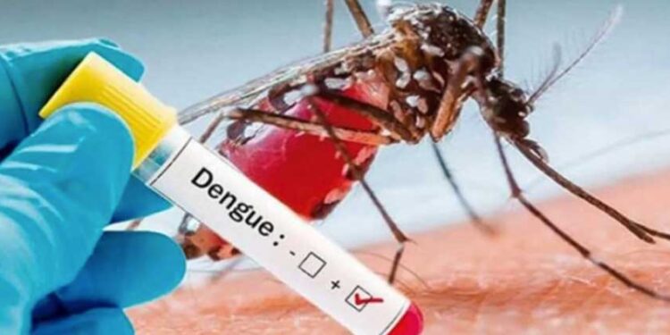 Ayuntamiento de Isla Mujeres redoblará acciones contra el Dengue