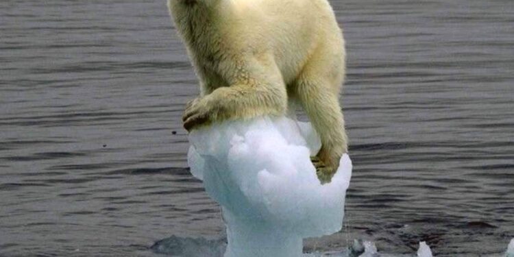 Hemos pasado de la era del calentamiento global a la ebullición global: ONU