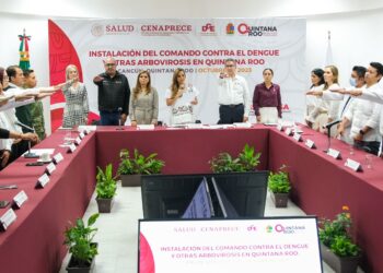 Instala Mara Lezama comando contra el Dengue en Quintana Roo