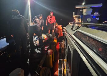 Personal naval realiza evacuación médica de una persona a bordo de un  crucero turístico