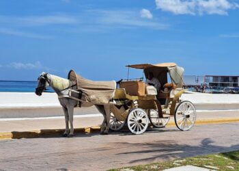 Frena Congreso del Estado operación de calesas, con nueva reforma