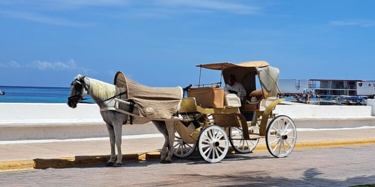 Frena Congreso del Estado operación de calesas, con nueva reforma