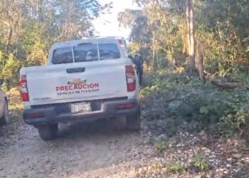 Localizan a 3 menores de edad extraviados en selva de Tulum