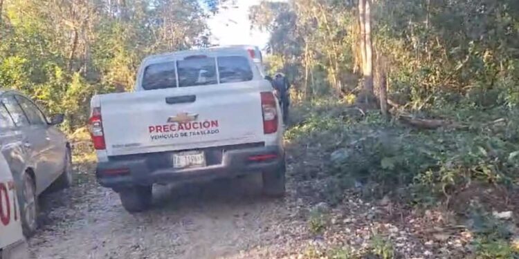 Localizan a 3 menores de edad extraviados en selva de Tulum