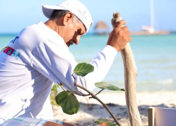 Gobierno de Isla Mujeres promueve la conservación de dunas costeras