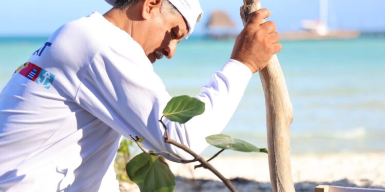 Gobierno de Isla Mujeres promueve la conservación de dunas costeras
