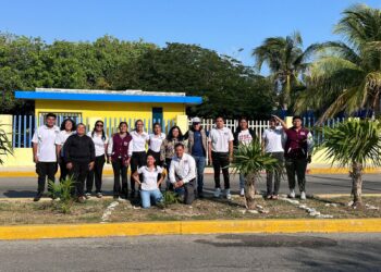Realizan en Isla Mujeres campaña de reforestación en el marco del Día Mundial de la Tierra
