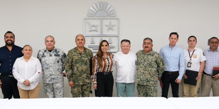 Mesa de Seguridad revisa resultados de operativos recientes en el sur