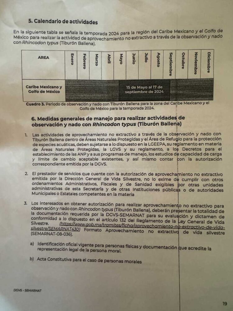 Un permiso por persona en Avistamiento del Tiburón Ballena: Vida Silvestre