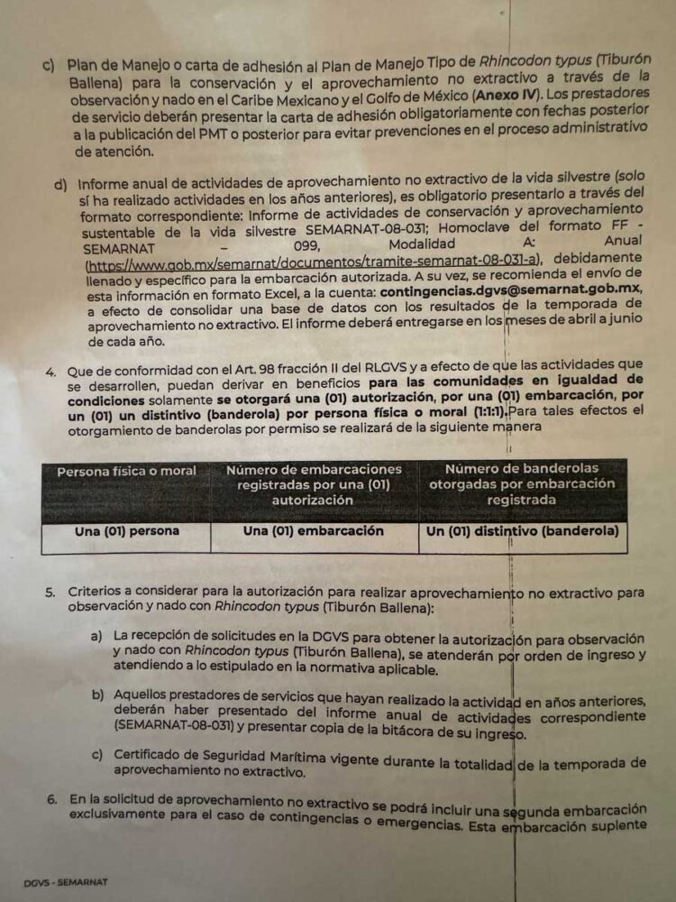 Un permiso por persona en Avistamiento del Tiburón Ballena: Vida Silvestre