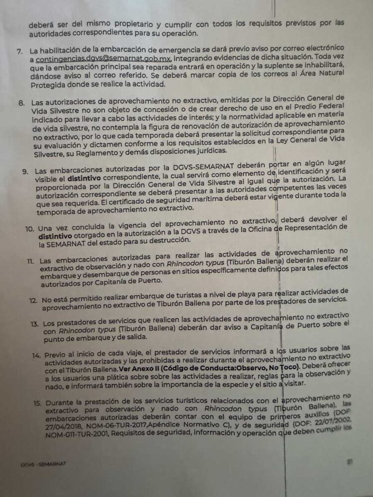 Un permiso por persona en Avistamiento del Tiburón Ballena: Vida Silvestre