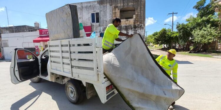 Atenea Gómez Ricalde pone en marcha Jornada Emergente de Descacharrización en Isla Mujeres