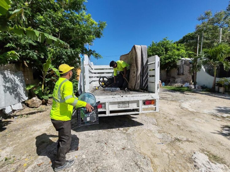 Atenea Gómez Ricalde pone en marcha Jornada Emergente de Descacharrización en Isla Mujeres