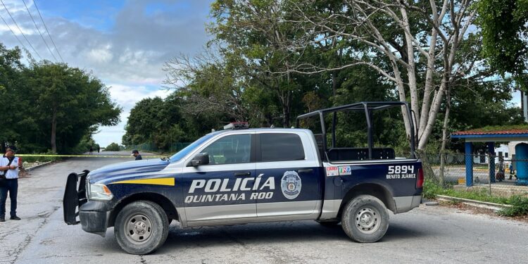 Hallan cuerpo descuartizado en bolsas, en la Región 237 de Cancún