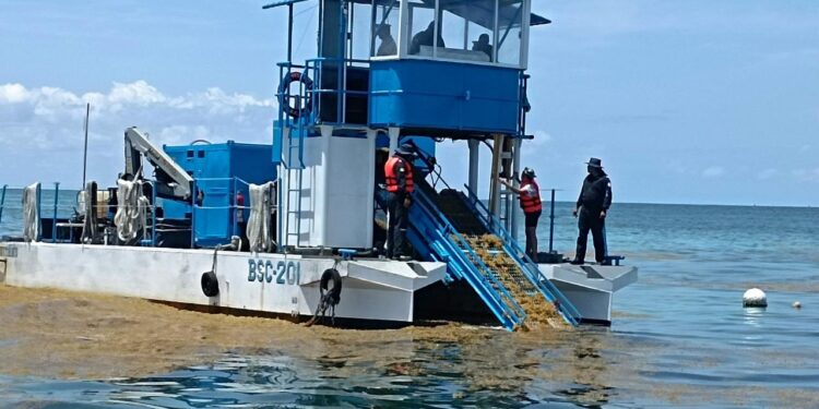 Marina informa cierre operativo de la Temporada de Sargazo 2024