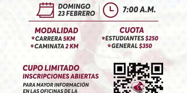 Invitan a familias isleñas a participar en la Primera Carrera del Bienestar Animal en Isla Mujeres