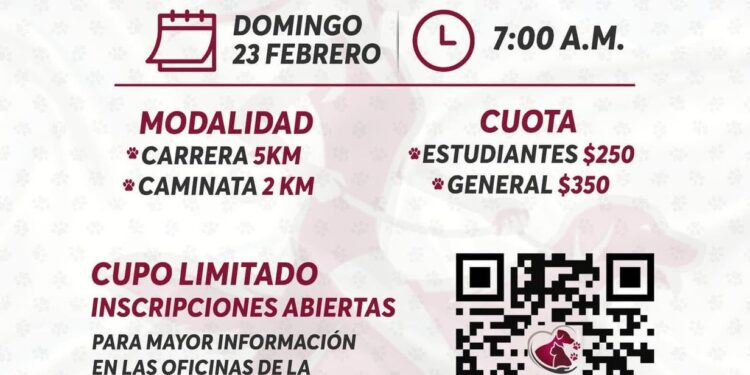 Isla Mujeres promueve la Primera Carrera de Bienestar Animal para fomentar el cuidado responsable de las mascotas