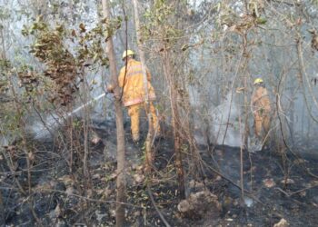 Se propaga humo por incendios a familias de Paseos Xcacel, en Playa del Carmen