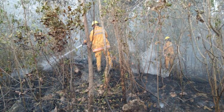 Se propaga humo por incendios a familias de Paseos Xcacel, en Playa del Carmen